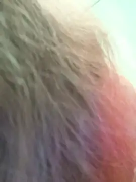 Frost_foxy webcam