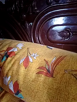minadixit17 webcam