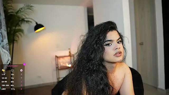 artechloe webcam