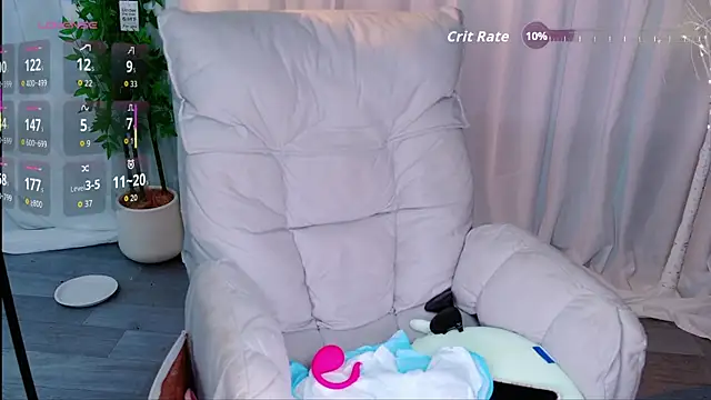 Dolpin_ webcam