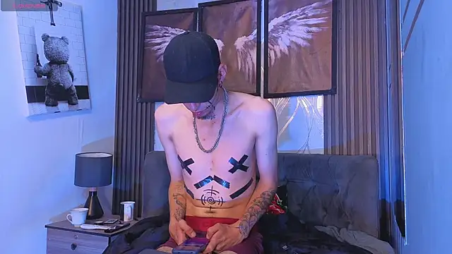 Pacomaster webcam