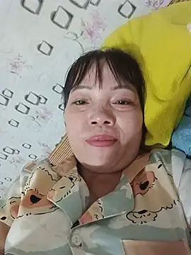 Sana-vn webcam