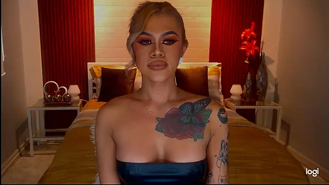 StellaStrong30 webcam