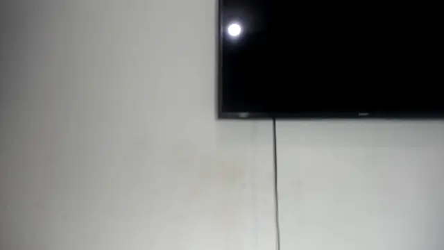 Fox_Loves