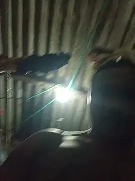 BlackBigdogg webcam