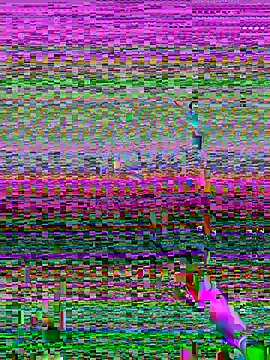 Isa_smeraldy webcam