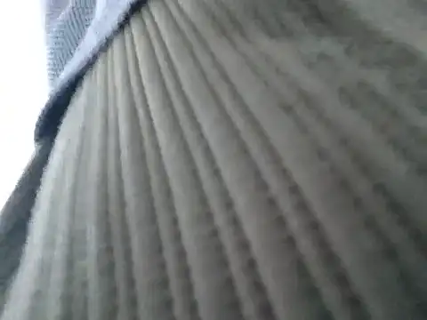 fit_ass_2021 webcam