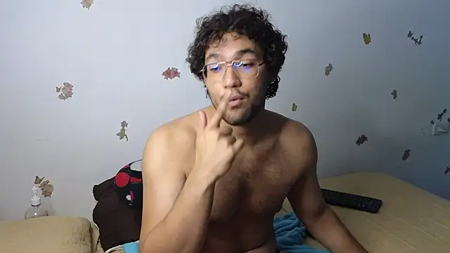 FreyrStyle webcam