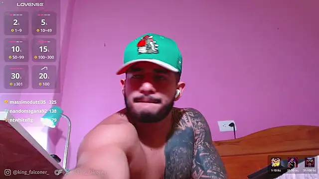 king_falconer webcam