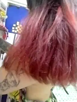 _Alaskamisa webcam