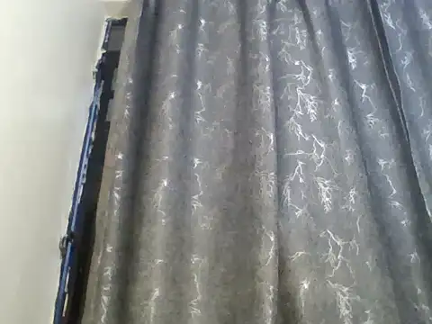 greeshi webcam