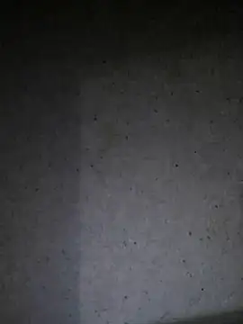 Leocesar37 webcam