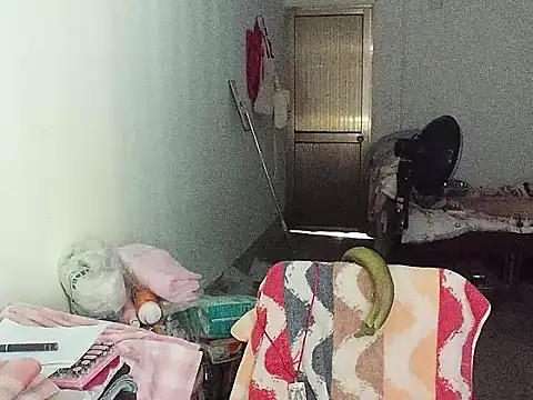RebelAura webcam