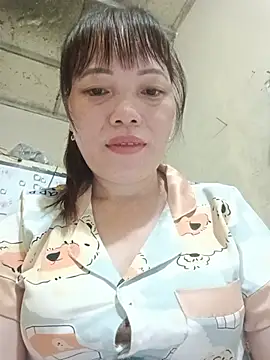 Sana-vn webcam