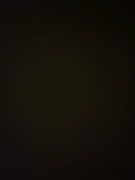 sharks90 webcam