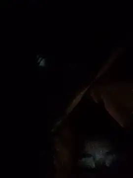 Zoe_aylor webcam