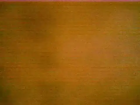 peyo__ webcam