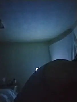 priceC411 webcam