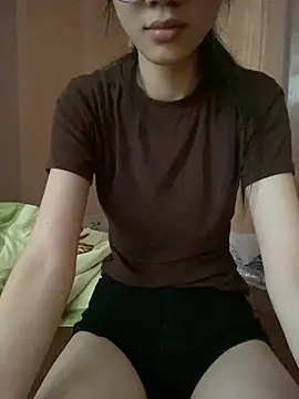 Li-Li12 webcam