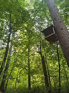 MerlinDave webcam