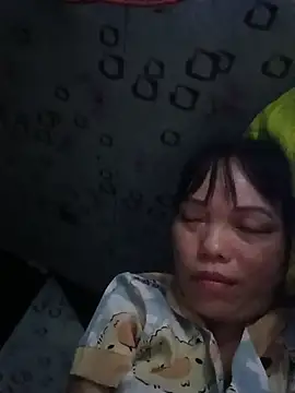 Sana-vn webcam