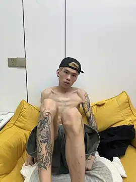 KPL-11 webcam