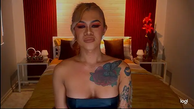 StellaStrong30 webcam