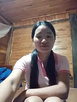 Td3di webcam