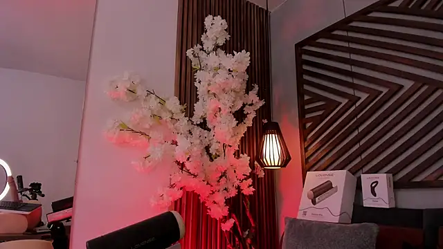 JacobDraven webcam