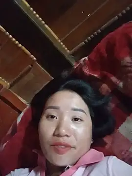 Td3di webcam