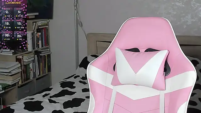 bbJ_one webcam