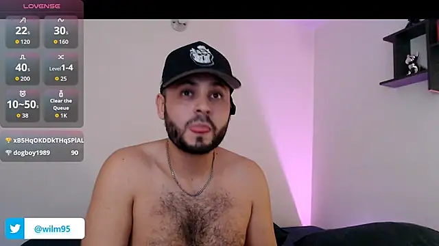 wil3147 webcam