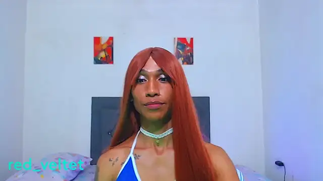 red_veltet webcam