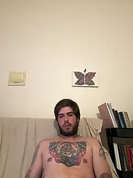 fire-vex webcam
