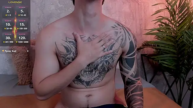 leviwolff webcam