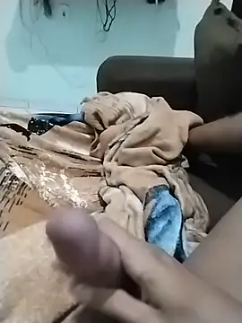 Novinhoie webcam