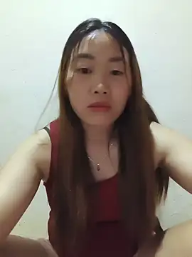 he-se-kin webcam