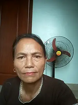 Vieekee webcam