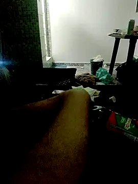attras webcam