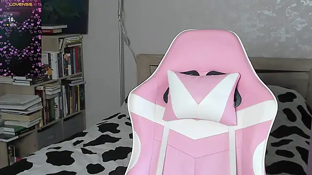 bbJ_one webcam