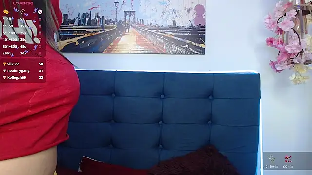 eva_six webcam