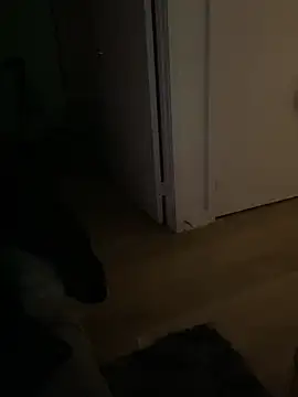 elliepixie webcam