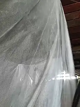 Thosew-venu webcam