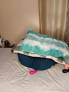 firewaist webcam