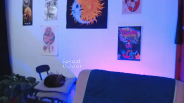 Raventh_ webcam