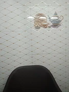 SonY-CaM2 webcam
