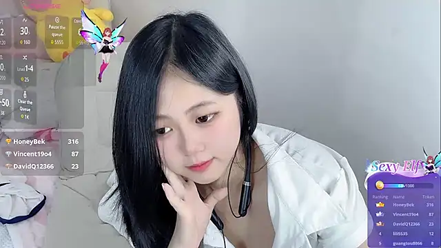 Noelle-2007 webcam
