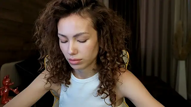 voxlesss webcam