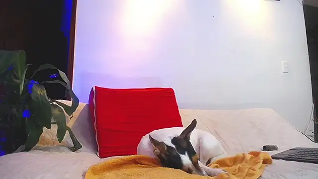 shellsy_hans webcam