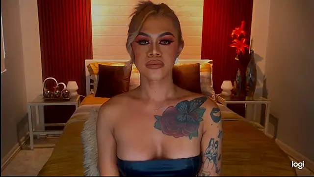 StellaStrong30 webcam